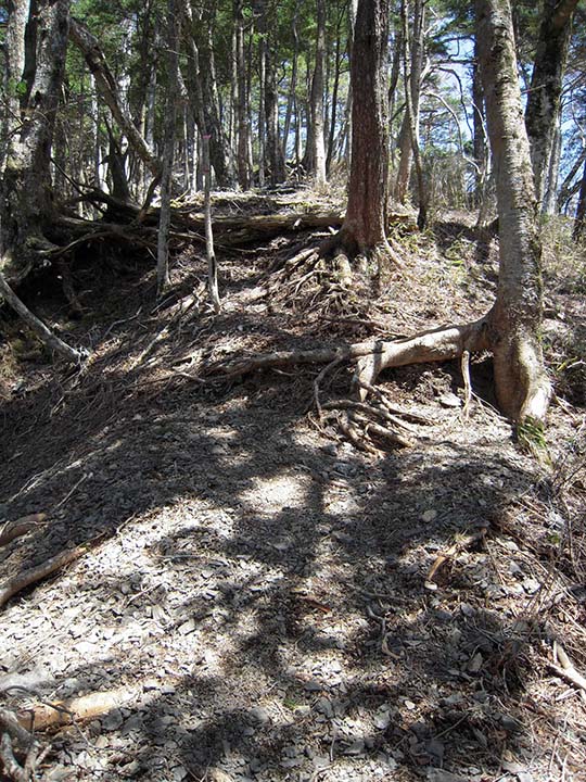Click to enlarge Highslide JS