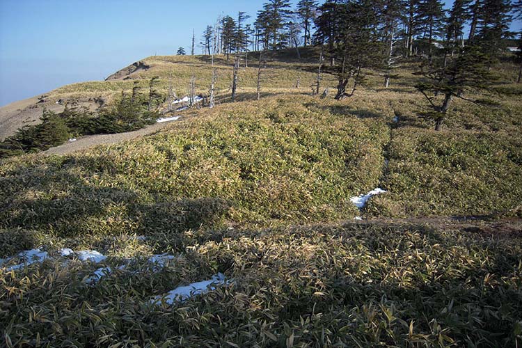 Click to enlarge Highslide JS