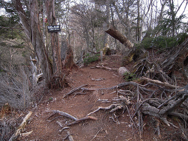 Click to enlarge Highslide JS