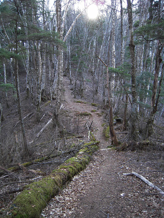 Click to enlarge Highslide JS