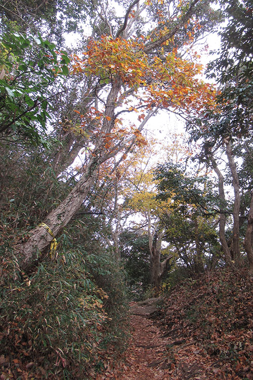 Click to enlarge Highslide JS