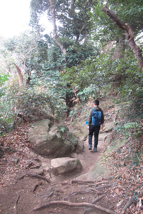 Click to enlarge Highslide JS